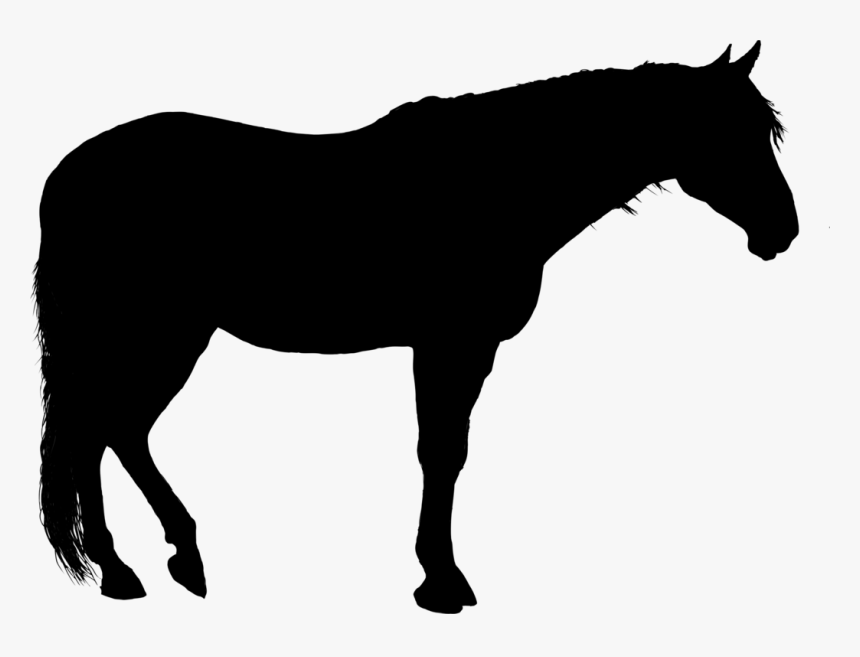 Quarter Horse Silhouette Png - Clip Art Standing Horse Silhouette, Transparent Png