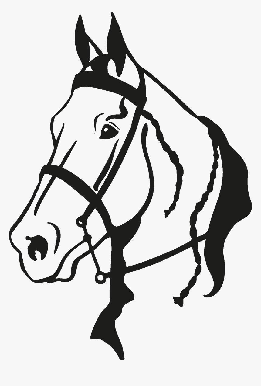Horse Vector, HD Png Download