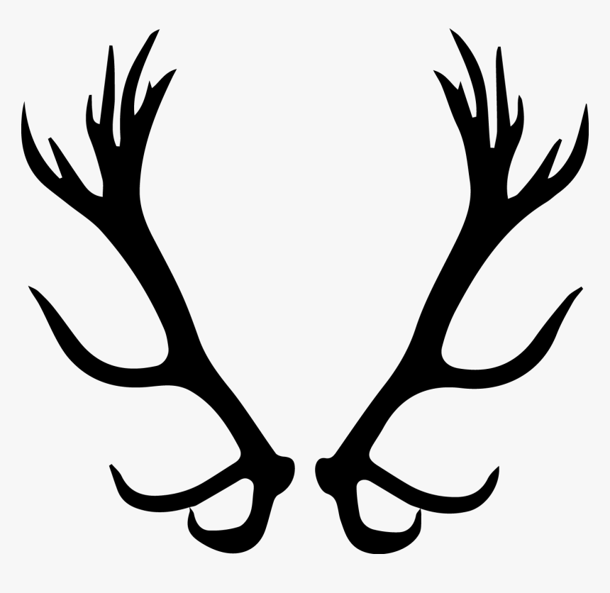 Ciervo, HD Png Download