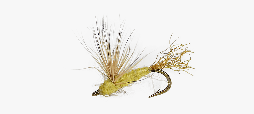 Sparkle Dun Sulpher Yellow - Animal, HD Png Download