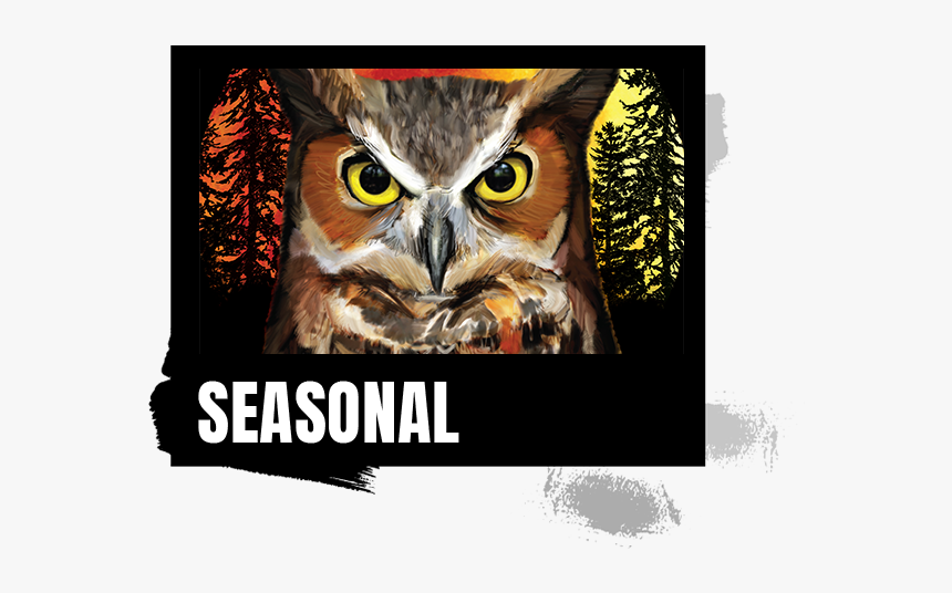 Night Owl Pumpkin Ale, HD Png Download