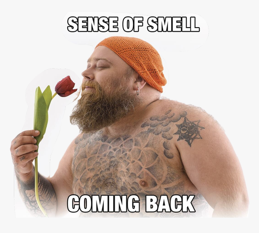 Transparent Sense Of Smell Clipart - Cheiro Maravilhoso, HD Png Download