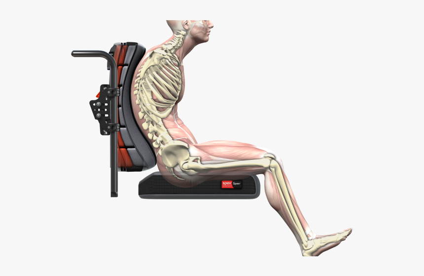 Supershape Render - Excessive Leg Length Wheelchair, HD Png Download