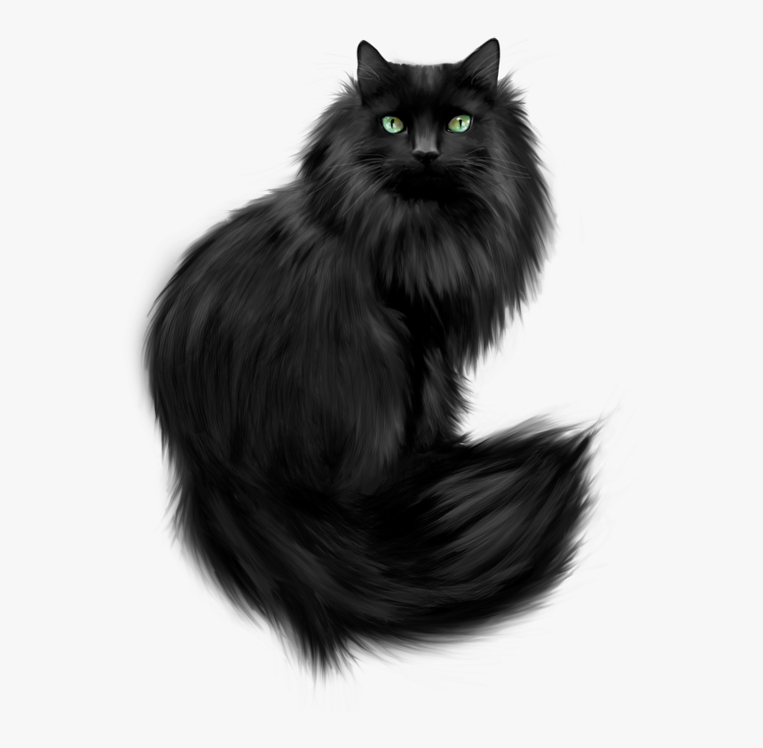 Black Himalayan Persian Cat, HD Png Download