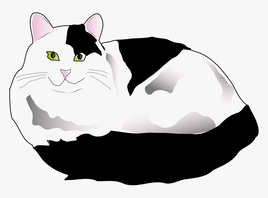 Black And White Fluffy Cat Clipart, HD Png Download