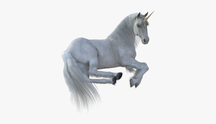 Unicorn Sit Pose, Unicorn, Animal, Fantasy Png And - Unicorn Fantasy Png, Transparent Png