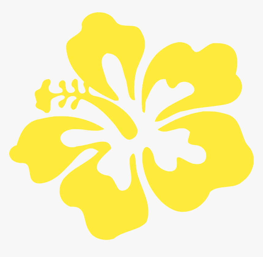 Hibiscus, HD Png Download