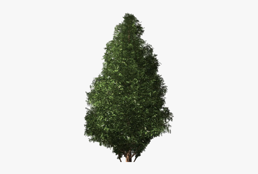 Artificial Christmas Tree Png Transparent, Png Download