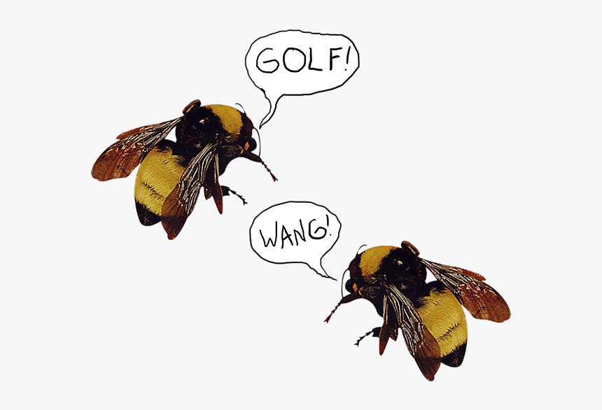 Golf Tyler The Creator Png, Transparent Png