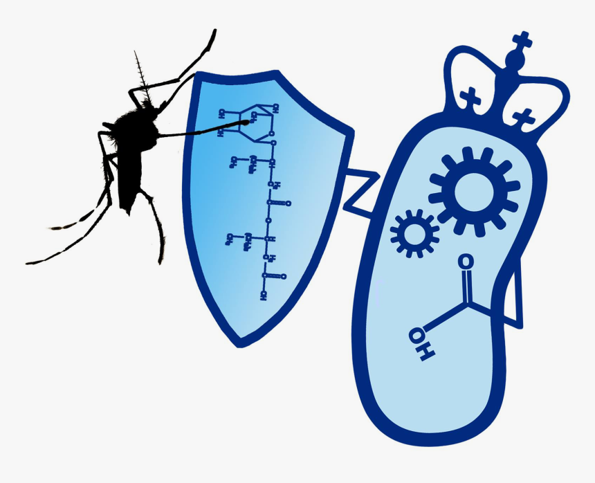 Columbia Logo , Png Download, Transparent Png