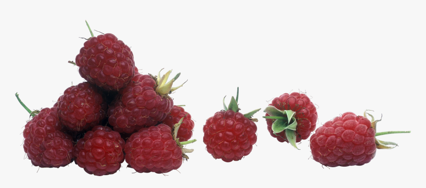 Raspberry, HD Png Download , Transparent Png Image - PNGitem