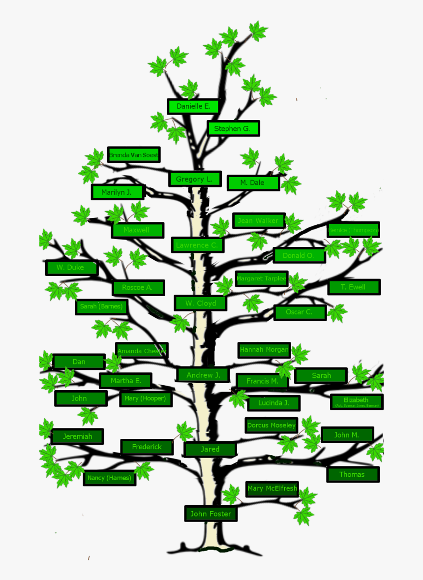 Clip Art Free Stock Name Clipart Family Tree, HD Png Download ...