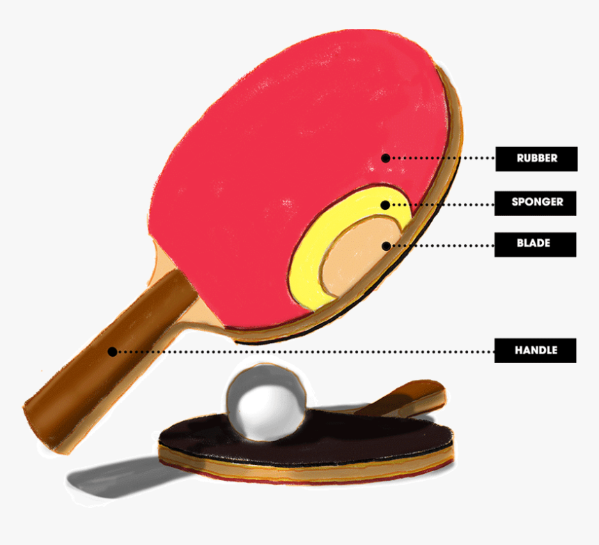 Best Table Tennis Paddle, HD Png Download