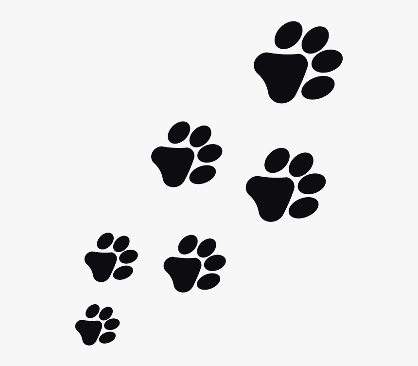 Thumb Image, HD Png Download , Transparent Png Image - PNGitem