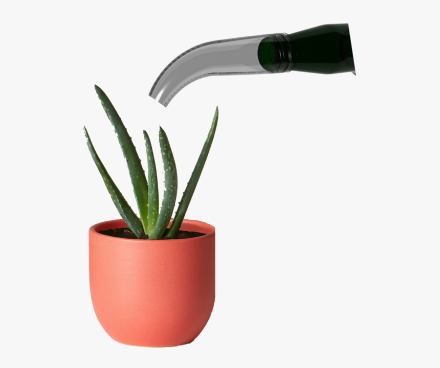 Planter Png, Transparent Png