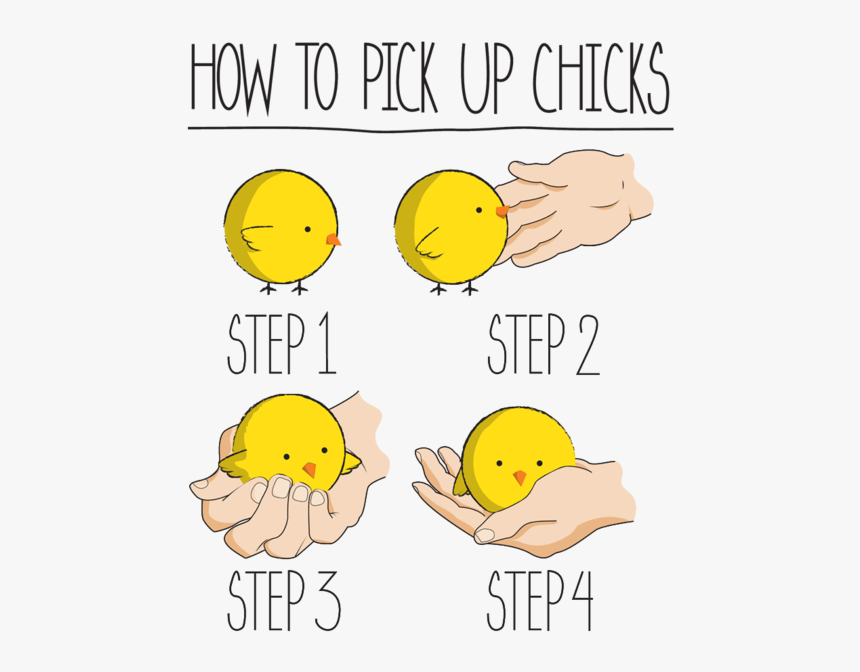 It is up to you. Step 1 meme. to pick up. pick you up. what to pick.