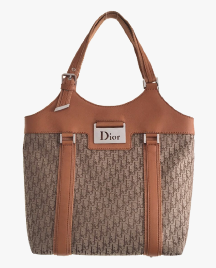 dior transparent bolsa