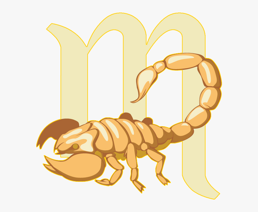 Gemini Vector Scorpio Horoscope - Horoscope, HD Png Download