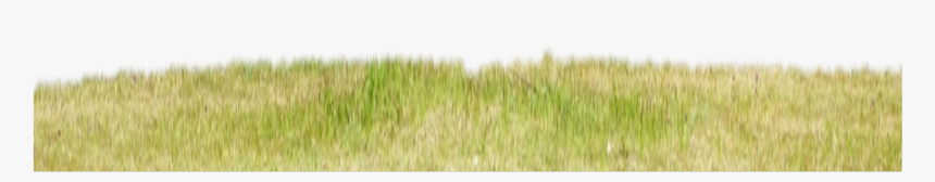 #hierba - Lawn, HD Png Download