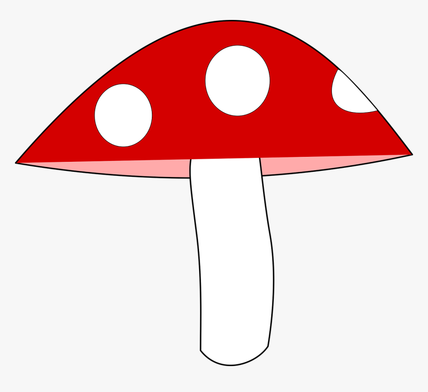 Mushroom Agaric Forest Free Picture - Muchotrávka Png, Transparent Png