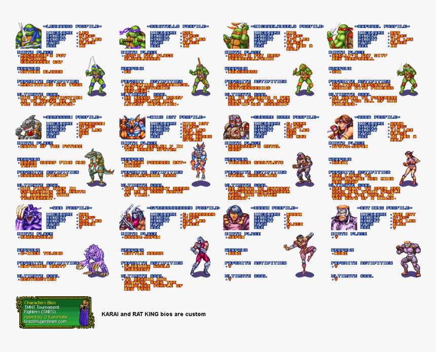 Teenage Mutant Ninja Turtles Tournament Fighters All, HD Png Download
