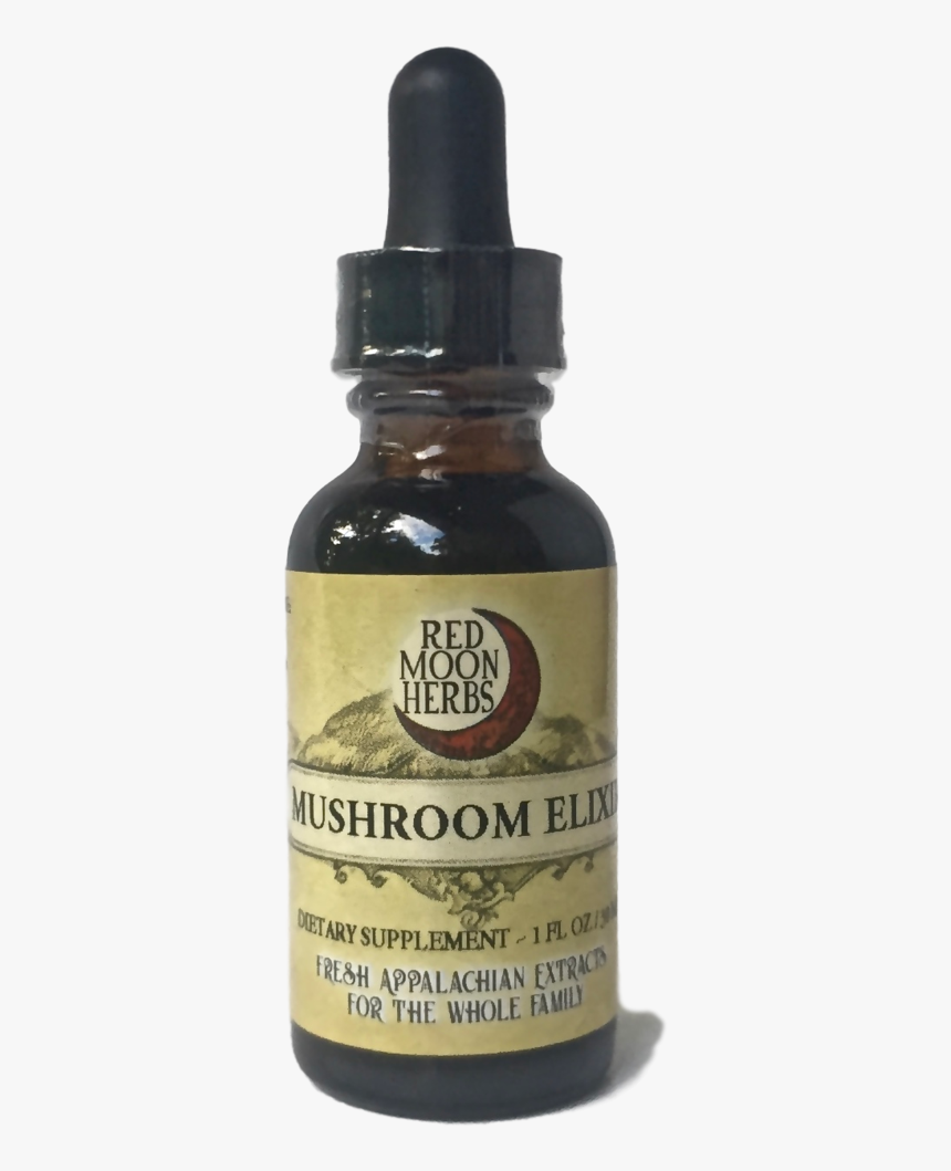 Poke Root Phytolacca Americana, HD Png Download