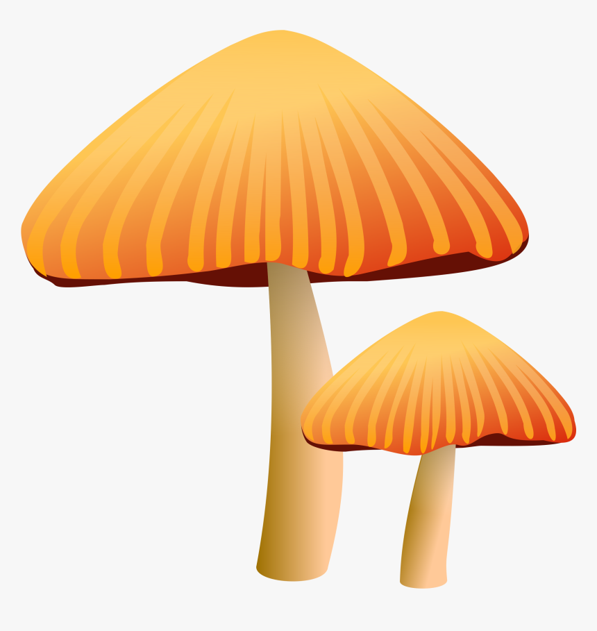Orange Mushroom Clipart, HD Png Download