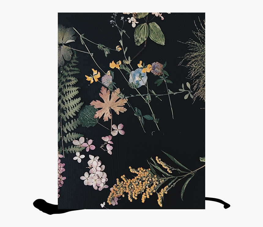 Motif, HD Png Download