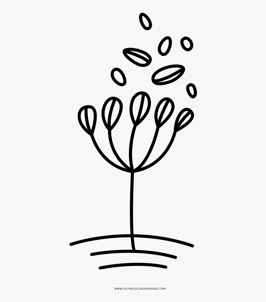 Hierba Página Para Colorear - Illustration, HD Png Download