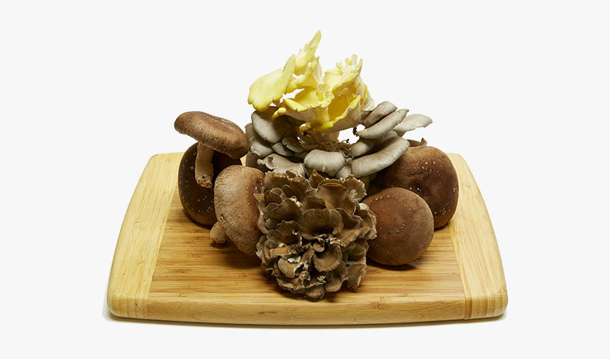 Chocolate, HD Png Download