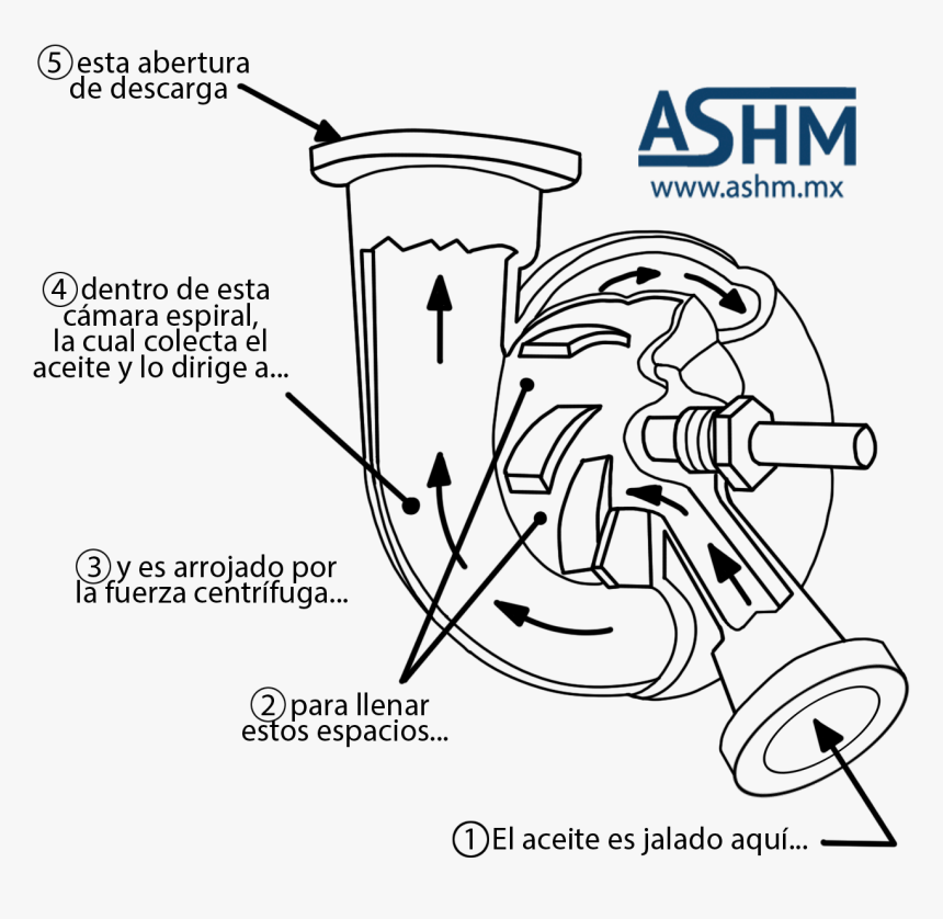 Bomba De Impelente De Desplazamiento No Positivo - Bombas De Desplazamiento No Positivo, HD Png Download