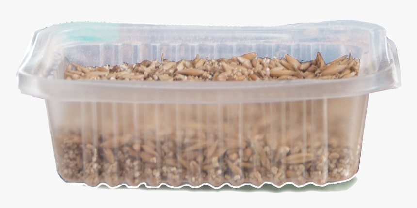 Wood, HD Png Download