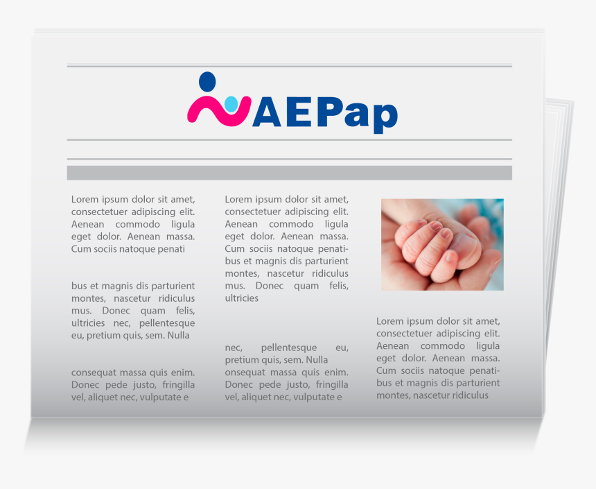 Brochure, HD Png Download