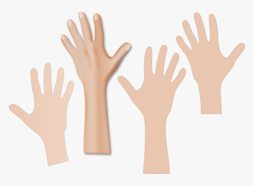 Collection Of Skin - World Hand Hygiene Day 2019, HD Png Download