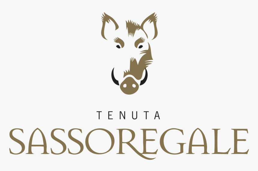 Sassoregale - Snout, HD Png Download