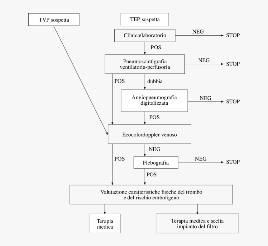 Diagram, HD Png Download