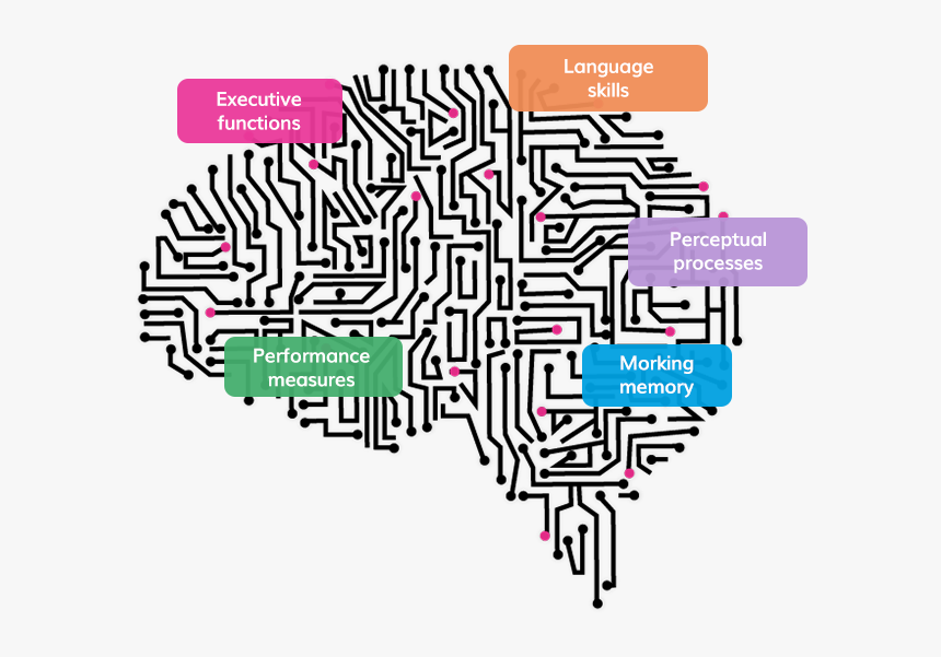 Cerebro Digital Png, Transparent Png