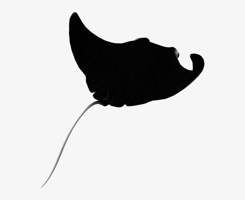 Hd Stingray Clipart Eagle - Cownose Ray Silhouette, HD Png Download