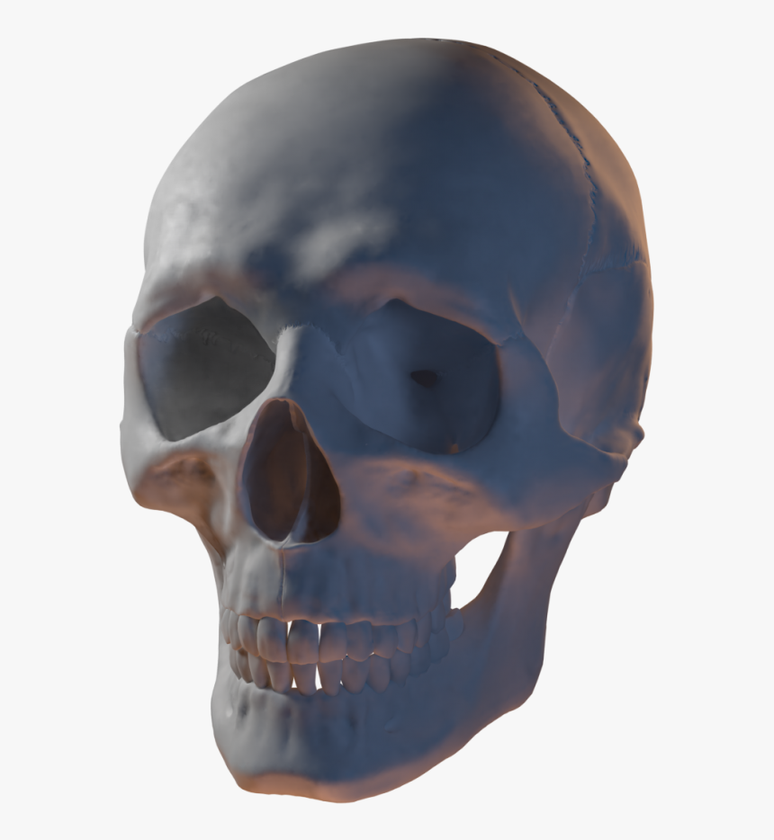 3d Skull Png, Transparent Png