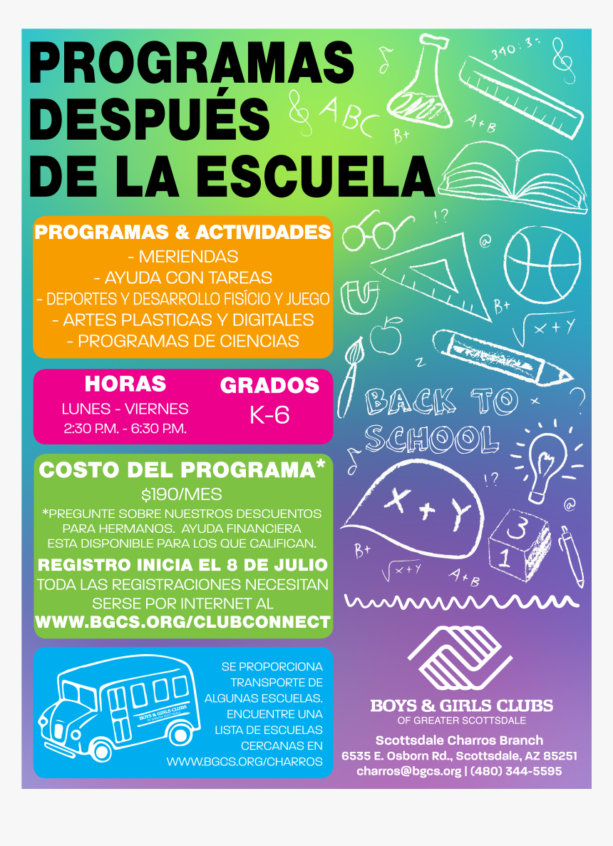 Programa Leiloes, HD Png Download