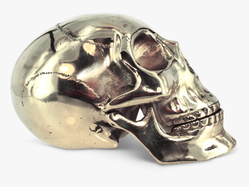 Skull, HD Png Download