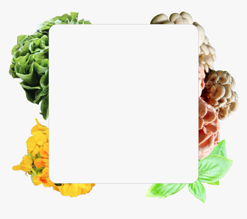 Clip Art, HD Png Download