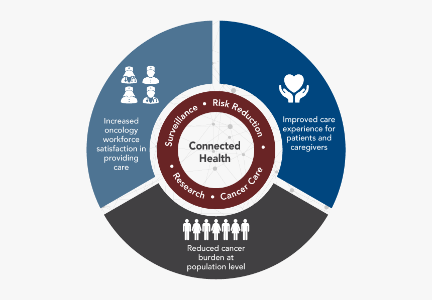 Connected Health And Cancer Pie Chart - Tass Skills, HD Png Download