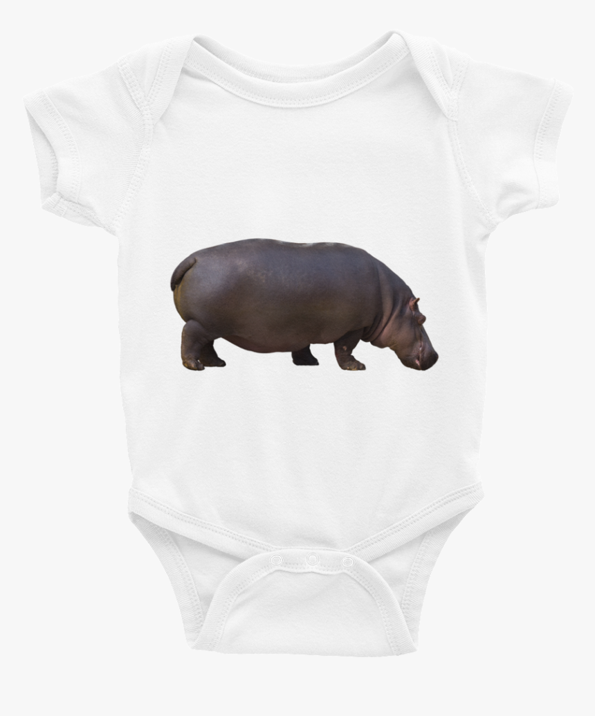 Class Lazyload Lazyload Mirage Cloudzoom 
 Style - Hippopotamus, HD Png Download