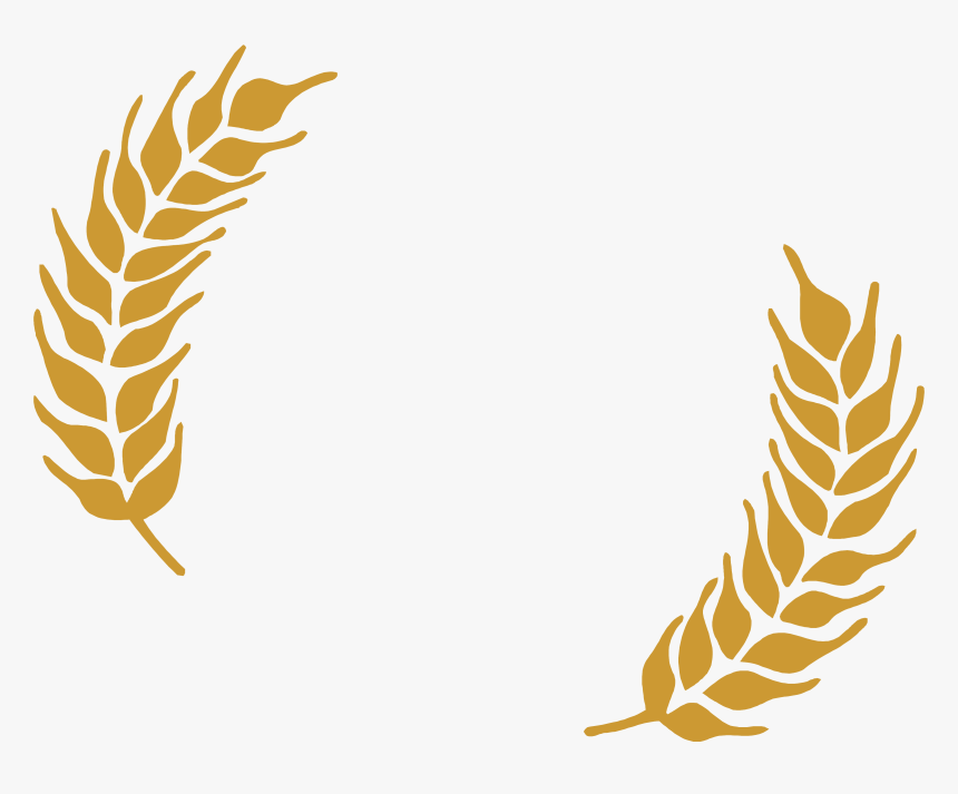 Wheat Png File Download Free - Brew Kettle Wheat Beer, Transparent Png