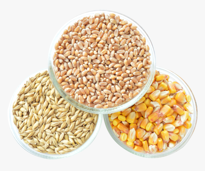 Grain Png Transparent Image - Grain Images Png, Png Download