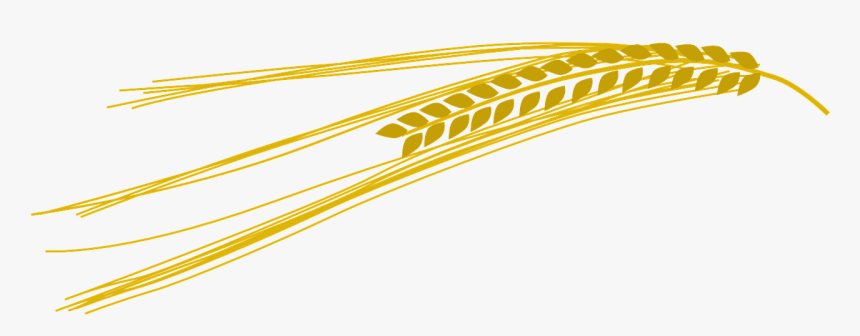 Barley Free Clipart, HD Png Download , Transparent Png Image - PNGitem