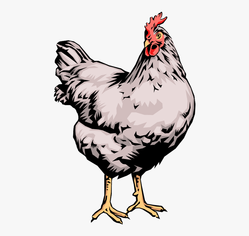 Hen Laying Egss Clip Art, HD Png Download