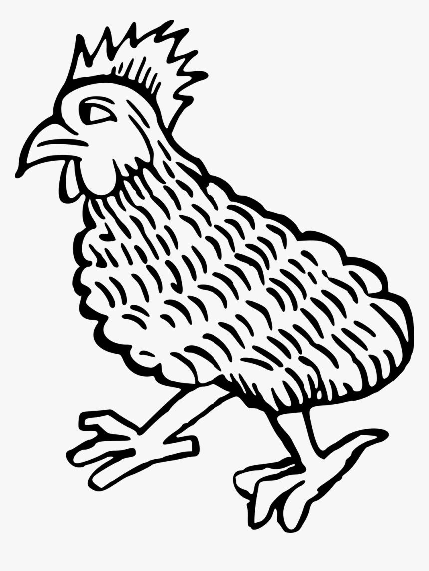 Chicken, HD Png Download