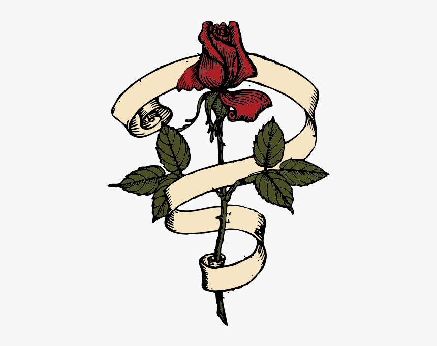 Rose Scroll, HD Png Download